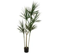 EUROPALMS Dracaena, plante artificielle, verte, 170 cm - Palmiers