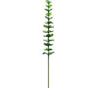 EUROPALMS eucalyptus cristal, plante artificielle, vert 81cm 12x - Branches et buissons