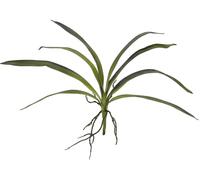 EUROPALMS Feuille d'orchidée (EVA), arificielle, verte, 45cm - Branches et buissons