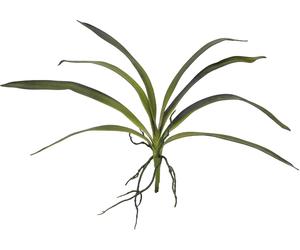 EUROPALMS Feuille d'orchidée (EVA), arificielle, verte, 45cm - Branches et buissons