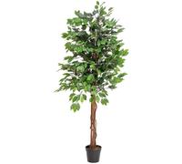 EUROPALMS Ficus Tree Multi Trunk, plante artificielle, 150cm - Arbres
