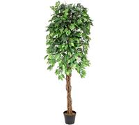 EUROPALMS Ficus Tree Multi-Trunk, plante artificielle, 180cm - Arbres