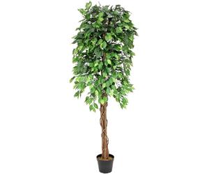 EUROPALMS Ficus Tree Multi-Trunk, plante artificielle, 180cm - Arbres