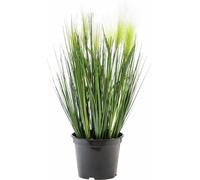 EUROPALMS Herbe à plumes, artificielle, blanche, 60cm - Herbes