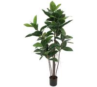 EUROPALMS Hévéa, plante artificielle, 120cm - Arbres