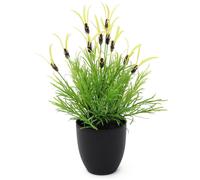 EUROPALMS Laitue à plumes, artificielle, 40cm - Fleurs