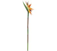 EUROPALMS Oiseau de paradis en spray, plante artificielle, orange, 95cm - Fleurs