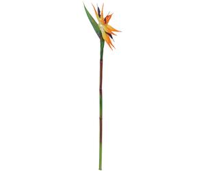 EUROPALMS Oiseau de paradis en spray, plante artificielle, orange, 95cm - Fleurs