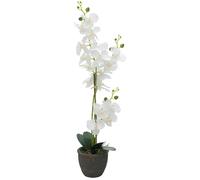 EUROPALMS Orchidée, plante artificielle, blanc, 80cm - Fleurs