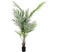 EUROPALMS Palmier Areca avec grandes feuilles, plante artificielle, 165cm - Palmiers