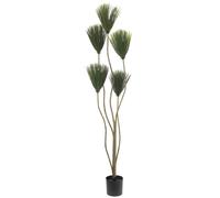 EUROPALMS Plante papyrus, artificielle, 130cm - Fleurs