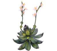 EUROPALMS Poireaux (EVA), artificiels, rose, 32cm - Fleurs