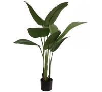 EUROPALMS Strelitzia, plante artificielle, 110 cm - Branches et buissons
