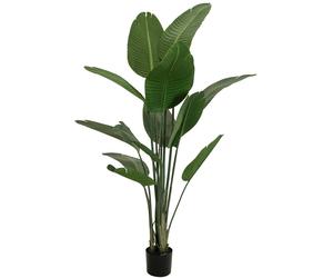 EUROPALMS Strelitzia, plante artificielle, 170 cm - Fleurs