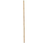 EUROPALMS Tube en bambou, Ø=3cm, 200cm - Branches et buissons