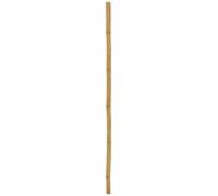 EUROPALMS Tube en bambou, Ø=5cm, 200cm - Branches et buissons
