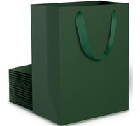 EUSOAR Petit Sac Cadeau Vert - 20 Sac Kraft Grand Format S 15x20x6 cm - Green Paper Gift Bags - Sac Vert Papier épais Poignée - Pochette Emballage en Carton Vert Foncé pour Anniversaire Noël