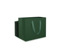 EUSOAR Pochette Cadeau Vert Foncé - 50 Pièces 230gsm Papier Sac Kraft avec Poignée - S 22x10x18cm Petit Gift Bags - Vert Sachet Cadeaux pour Vacances Noël Faveurs