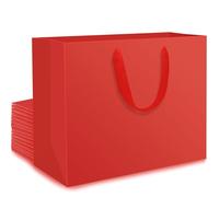 EUSOAR Sac kraft Rouge avec Poignée - Lot de 20 Sachet Cadeaux Moyen M 27x8x21cm - Pochette Emballage en Papier Rouge - 230GSM Red Paper Gift Bags - Sac Cadeau pour Anniversaire Saint-Valentin