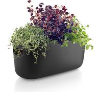 Eva Solo Herb-Organiser - Arroseur automatique - Noir