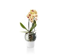 EVA SOLO | Pot à orchidée| 15 cm | Design Danois, fonctionnalité et qualité