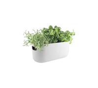 Eva Trio - Pot à réserve d'eau Blanc