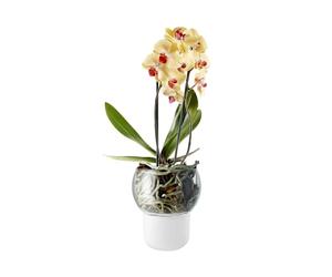 Eva Trio - Pot à réserve d'eau Blanc
