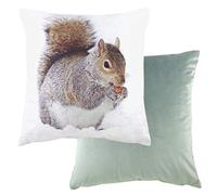 Evans Lichfield Housse de Coussin Motif écureuil Multicolore 43 x 43 cm