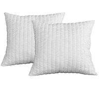 EVERGREENWEB 50x50 cmOreiller Lot de 2 | Oreillers décoratif Coussin memoire Forme pour Matelas, lit et canapé | Oreiller fabriqué en EU | Garantie de Remplissage | Garantie de Taille