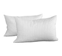 Evergreenweb - Coussins Canapé Moderne, Paire de Coussins en Mousse à mémoire de Forme, excellents pour Les cervicales douloureuses (40x60 cm)