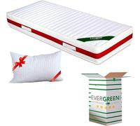 EVERGREENWEB Matelas 80x200 Mémoire de Forme avec Oreiller Gratuit, Zones Différenciées, 22 cm de Hauteur avec Housse Effet de Massage Amovible Lavable Anti Acarien, Degré de dureté 2-3 Haute Densité