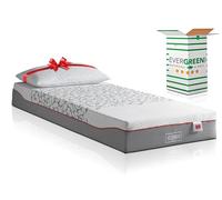 EVERGREENWEB Matelas 90x190 Mémoire de Forme pour 1 Personne avec Oreiller Gratuit, Zones Différenciées, 20 cm de Hauteur avec Housse Amovible Lavable Anti Acarien, Degré de dureté 2-3 Haute Densité