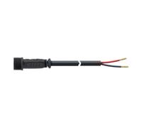 evn_lichttechnik EVN Lichttechnik Câble de connexion NV 2 pôles pour 12/24V 065 25 02-2 Quantité:1