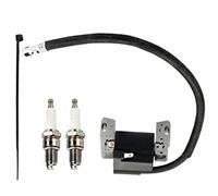 Ewillownm Compatible avec bobine de module d'allumage Armature-Magneto 591459 492341 pour moteur tondeuse à gazon BS 491312 490586 715231