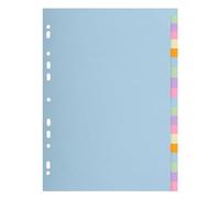 Exacompta - 1 Intercalaire en carte avec 20 onglets neutres - Format A4 | Gamme pastel Forever - 170g/m2 - Dimensions 22,5 x 29,7 cm - Couleurs assorties pastels
