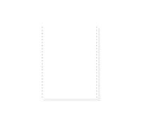 EXACOMPTA 1000 feuilles de listing autocopiantes blanc 240x12 2plis microperforations 4 côtés Bandes Caroll Détachables - Blanc