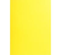 Exacompta 10x 25 chemises Double Poche 210 A4 ou A3 24x32cm Jaune citron 415009E