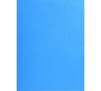 Exacompta 10x 25 chemises Double Poche 210 double A4 ou A3 24x32cm Bleu 415002E
