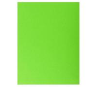 Exacompta 10x 25 chemises Double Poche 210 double A4 ou A3 24x32cm Vert 415003E