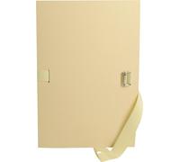 Exacompta 10x Chemises dos extensible format folio papier mastic Mastic 320E