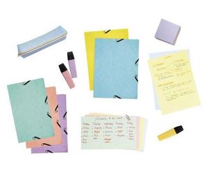 Exacompta 10x index set folder 25x A5 chequered assorted 55566E
