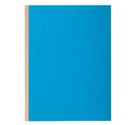 Exacompta 10x Paquet de 10 chemises à soufflet dos toilé 24x32cm Bleu 416002E