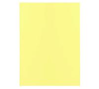 Exacompta 10x Paquet de 100 sous-chemises SUPER 60 - 22x31cm - Canari 850105E