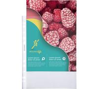 Exacompta 10x Sachet de 100 pochettes perforées PP grainé Qualité + A4 5760E