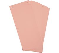 Exacompta 12x 100 fiches intercalaires 105x240mm Rose 13335B