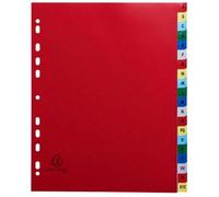 Exacompta 20x Intercalaires imprimés PP 20 pos A4+ Assorties vives 90E
