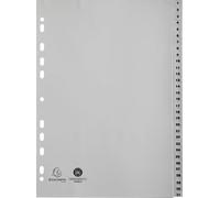 Exacompta 20x Intercalaires imprimés PP recy ris 31 pos A4 Gris 1931E
