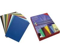 Exacompta 2798C - 100 Plats de couverture pour reliures A4 270g Vert