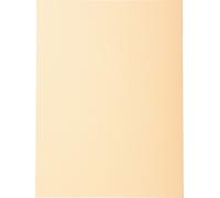 Exacompta 5x 100 chemises Forever® 170 100% recyclé 24x32cm Bulle 420002E