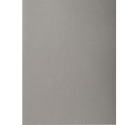 Exacompta 5x 100 chemises Forever® 220 100% recyclé 24x32cm Gris 410009E